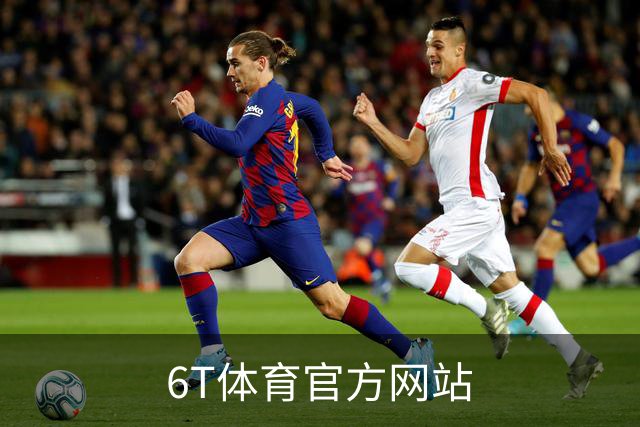 6T体育官方网站 公司简介